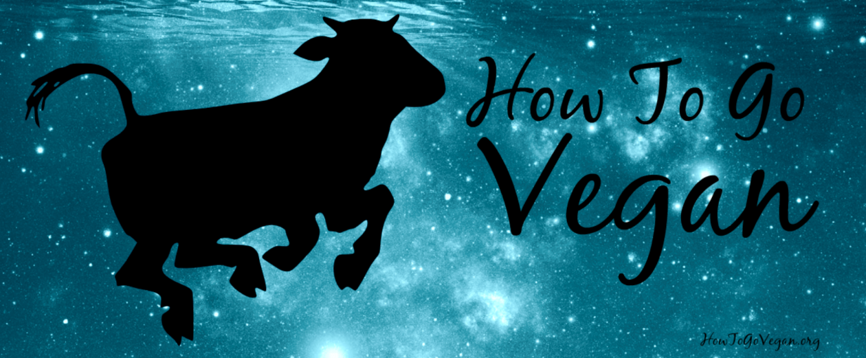 How To Go Vegan Podcast : A Comprehensive Resource for Those Interested in Becoming Vegan