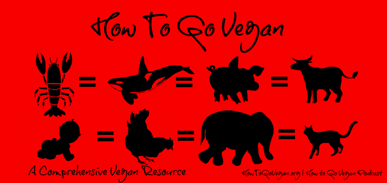 How To Go Vegan Podcast : A Comprehensive Resource for Those Interested in Becoming Vegan