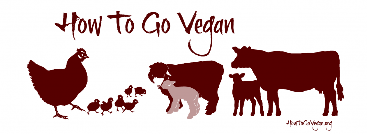 How To Go Vegan Podcast : A Comprehensive Resource for Those Interested in Becoming Vegan