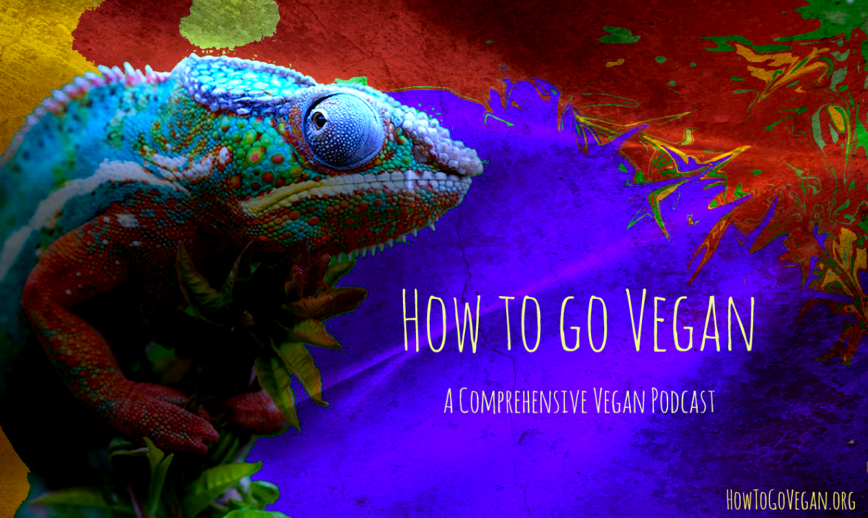 How To Go Vegan Podcast : A Comprehensive Resource for Those Interested in Becoming Vegan