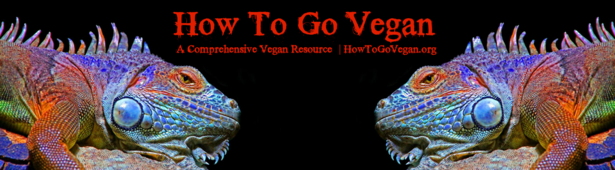 How To Go Vegan Podcast : A Comprehensive Resource for Those Interested in Becoming Vegan