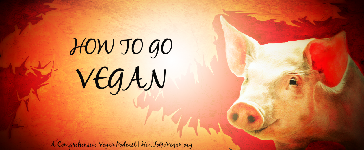 How To Go Vegan Podcast : A Comprehensive Resource for Those Interested in Becoming Vegan