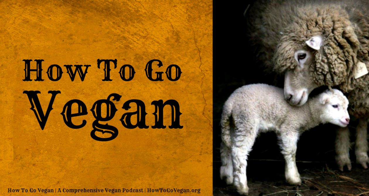 How To Go Vegan Podcast : A Comprehensive Resource for Those Interested in Becoming Vegan