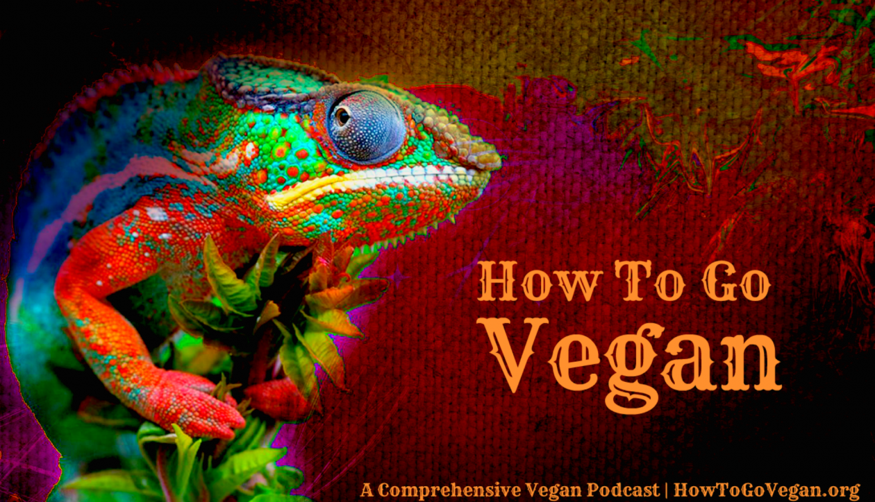 How To Go Vegan Podcast : A Comprehensive Resource for Those Interested in Becoming Vegan