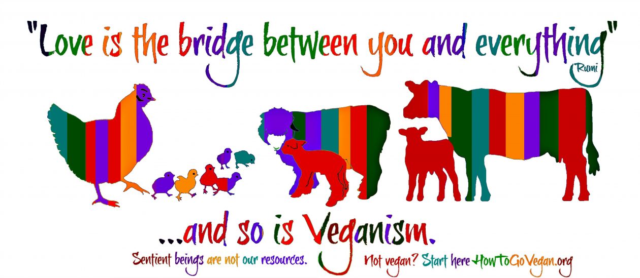 How To Go Vegan Podcast : A Comprehensive Resource for Those Interested in Becoming Vegan